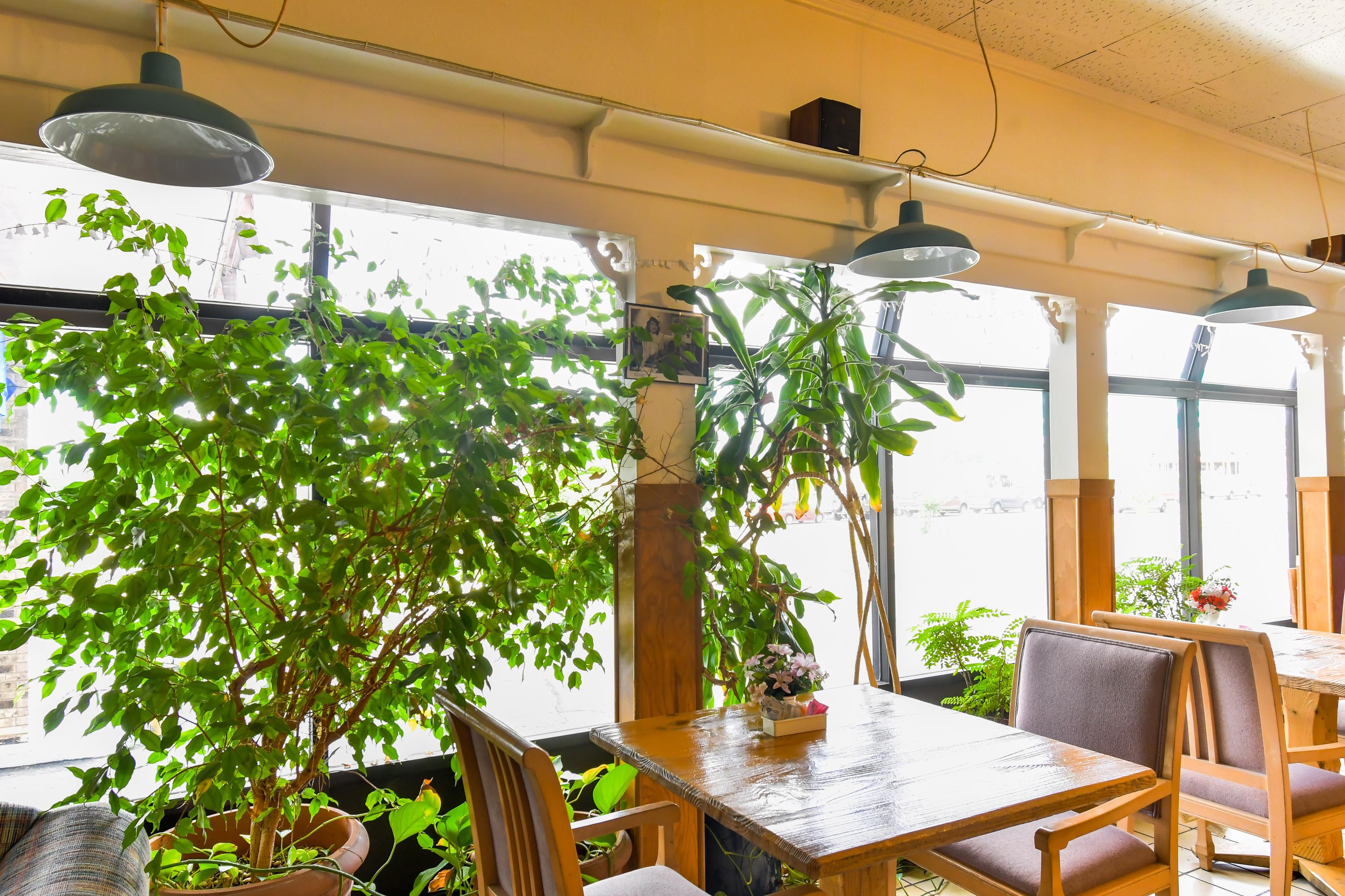 Oyo Hotel Tyler Lindale エクステリア 写真